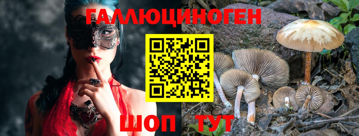 Псилоцибиновые грибы прущие грибы Кизляр