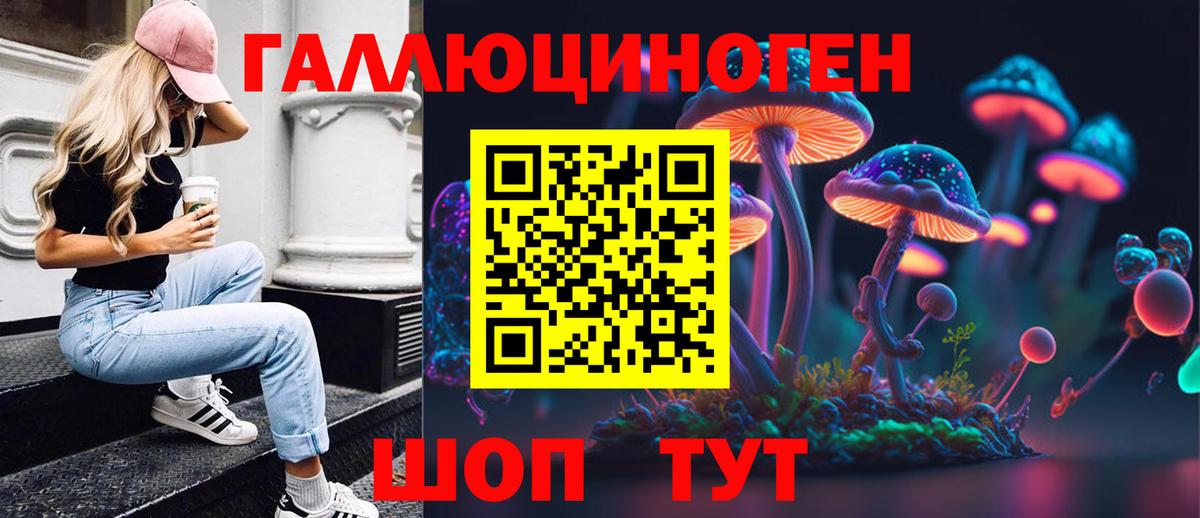 Псилоцибиновые грибы мицелий  Вход с VPN  Кизляр 